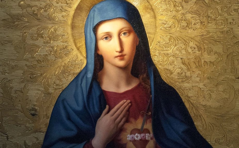 Imaculado webp &ndash; pnse – paróquia nossa senhora da esperança