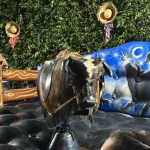 Festa junina pnse 2025 23 – pnse – paróquia nossa senhora da esperança